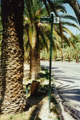The lakeside running circuit in Mendoza