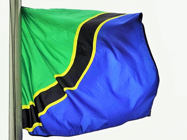 Tanzania flag