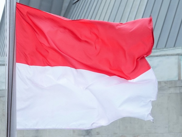 Monaco flag