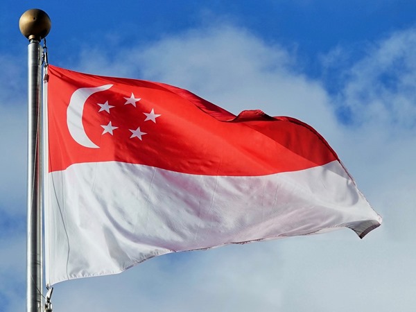 Singapore flag