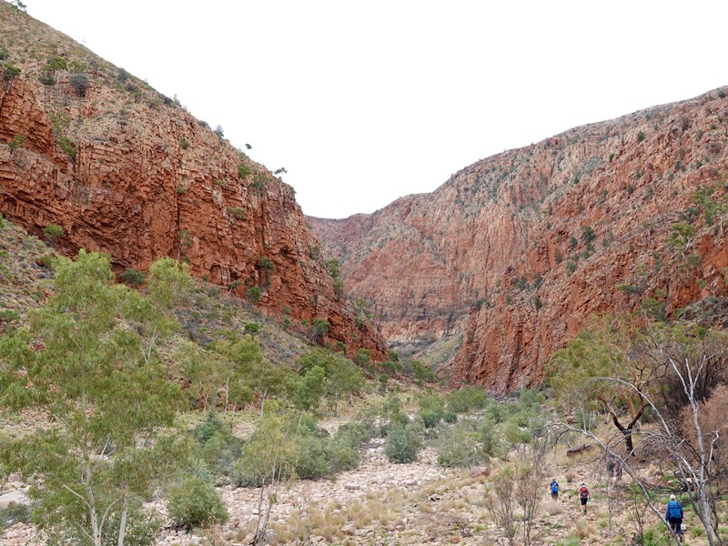 LARAPINTA-02-REDUCED