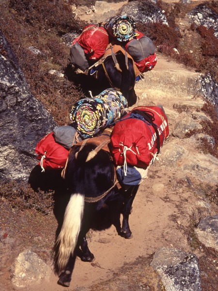 NEPAL-02b-REDUCED